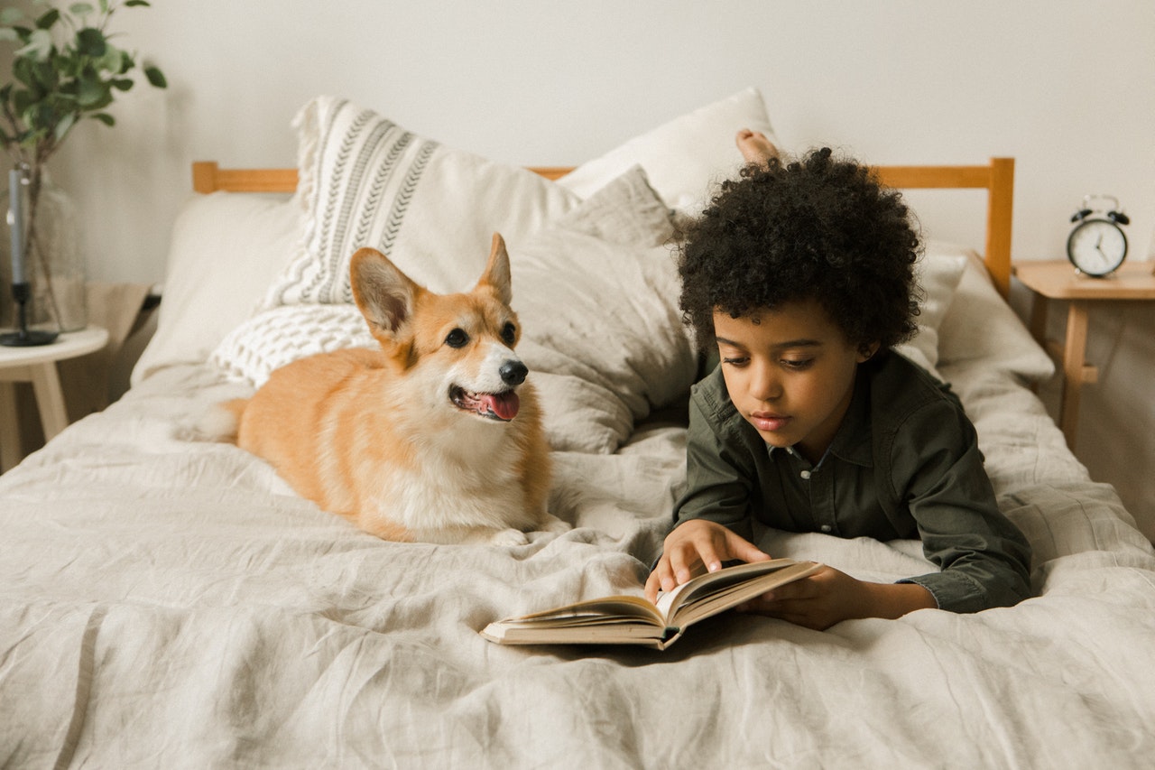 5 Fun Ways Your Child can Play with Your Pet